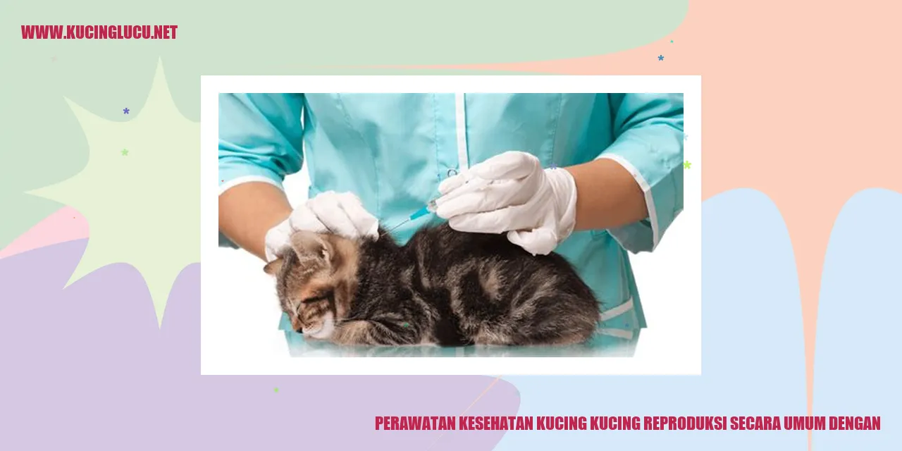 Perawatan Kesehatan Kucing reproduksi
