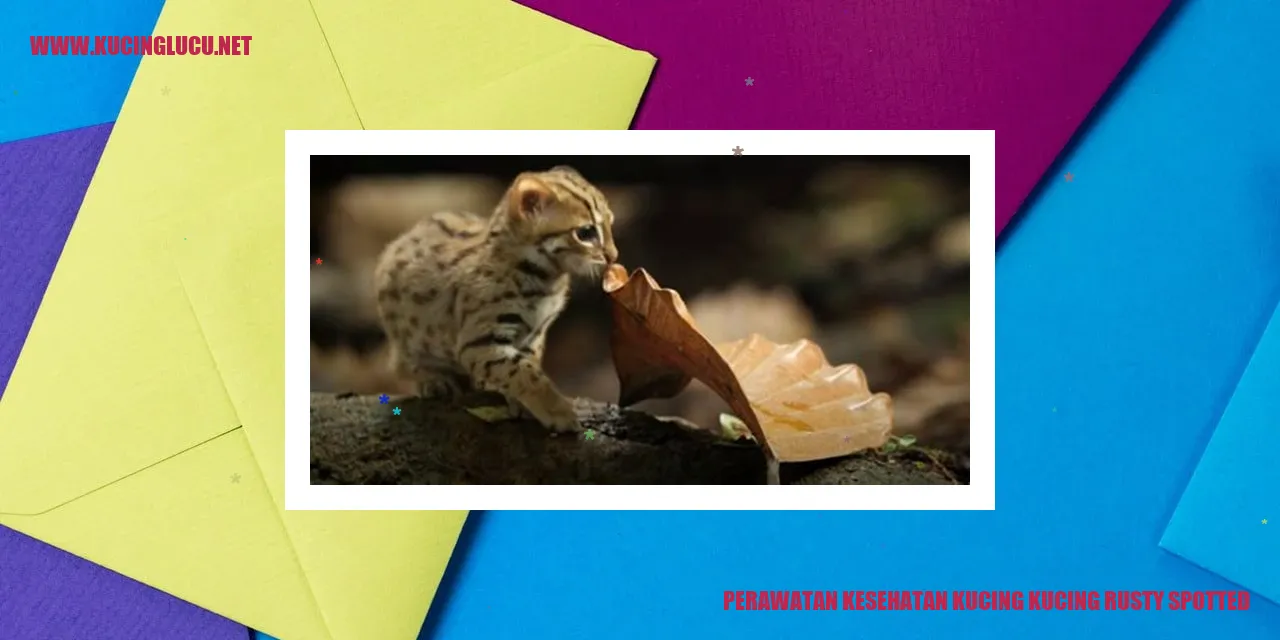 Perawatan Kesehatan Kucing Rusty Spotted