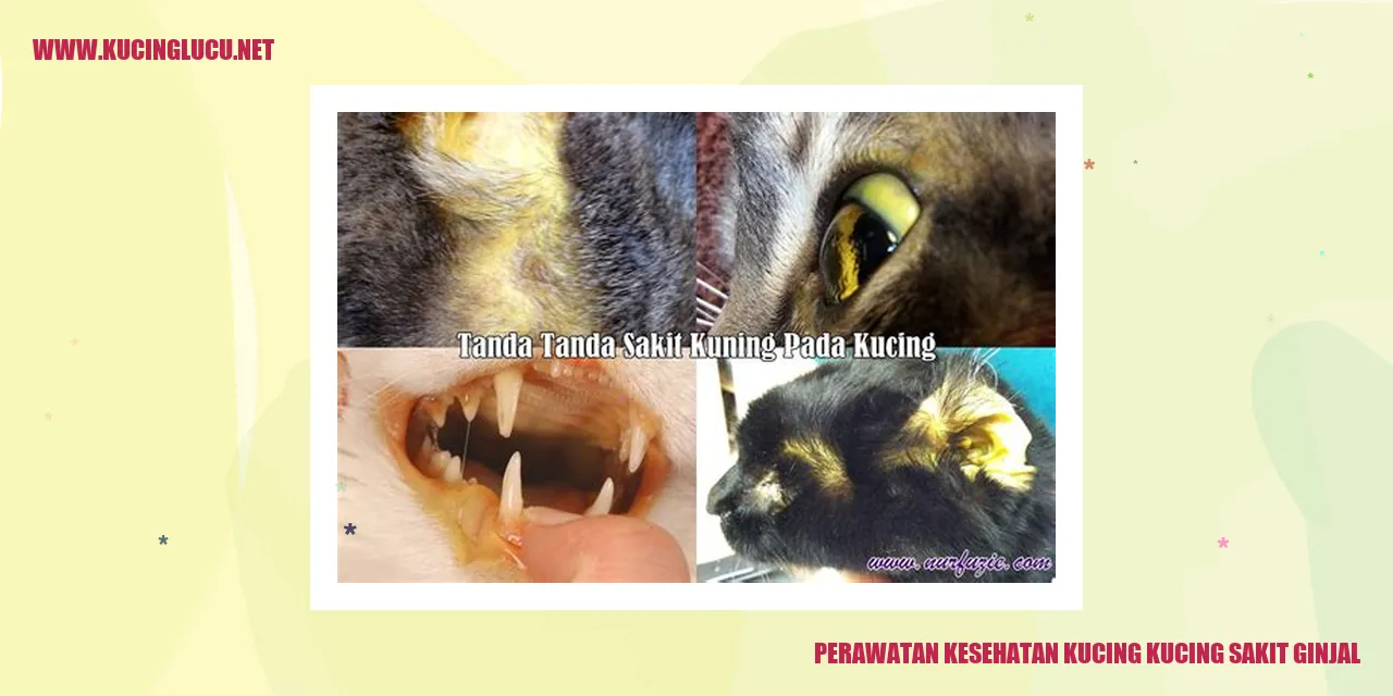 Perawatan Kucing Mengidap Penyakit Ginjal