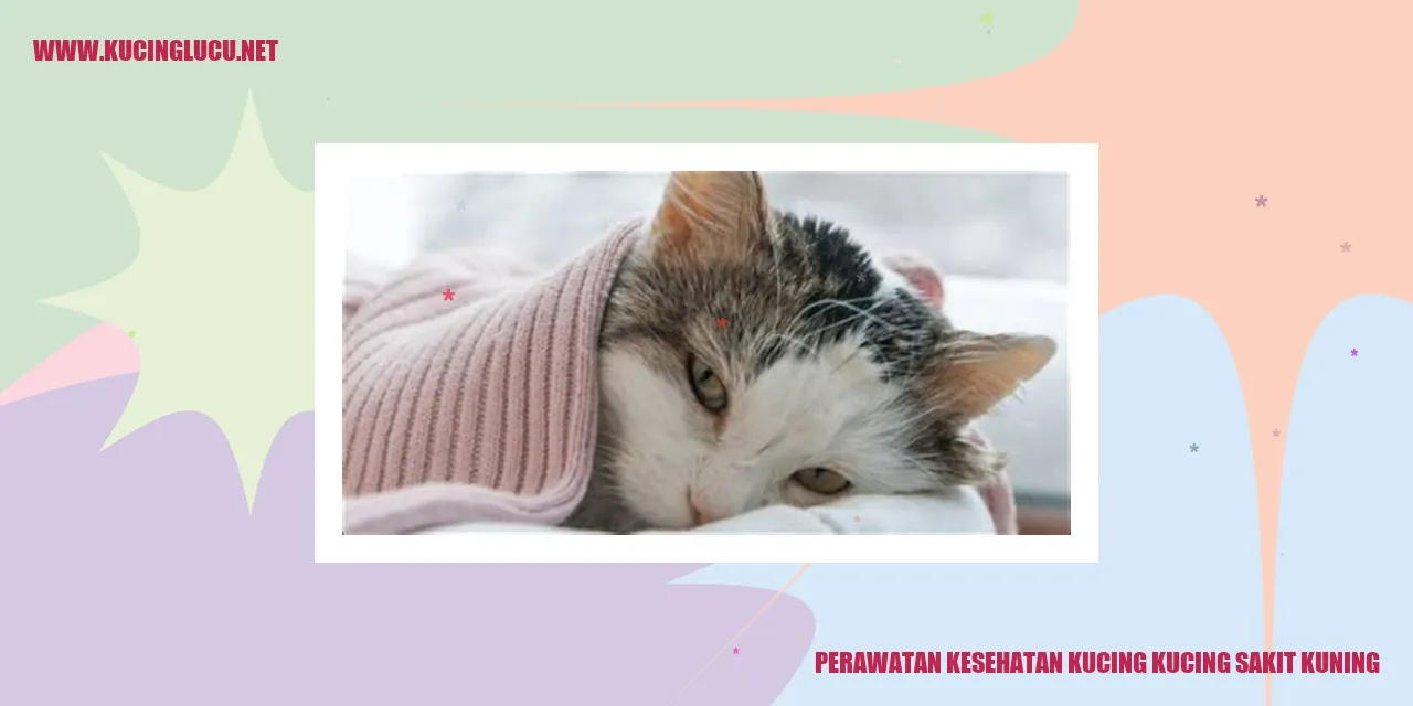 Perawatan Kesehatan Kucing