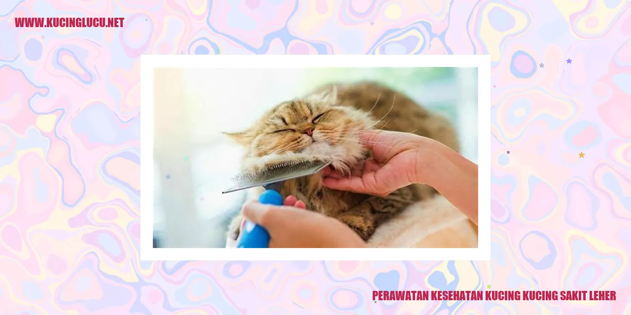 Gambar kucing yang sedang sakit leher