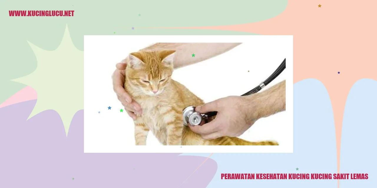 Perawatan Kesehatan Kucing
