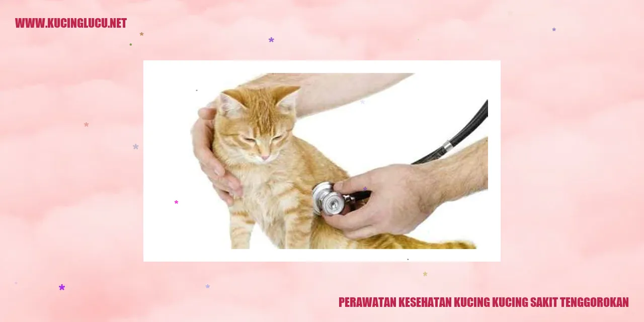 Kucing berada dalam kondisi sakit tenggorokan
