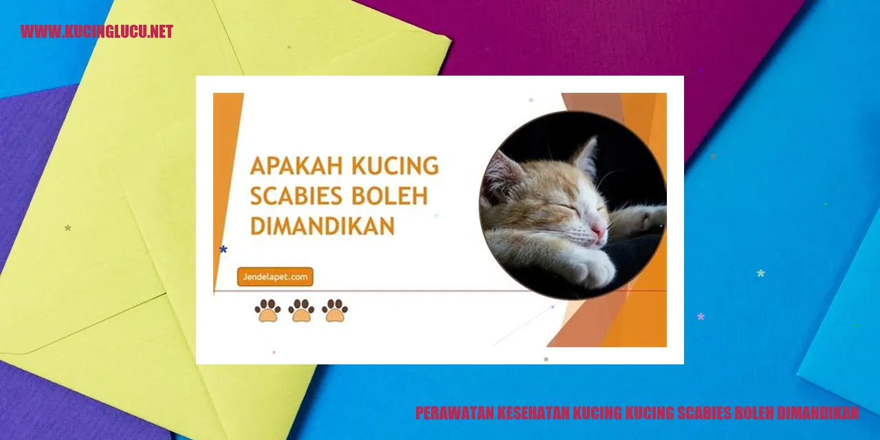 Kucing yang Terkena Penyakit Kutu Air