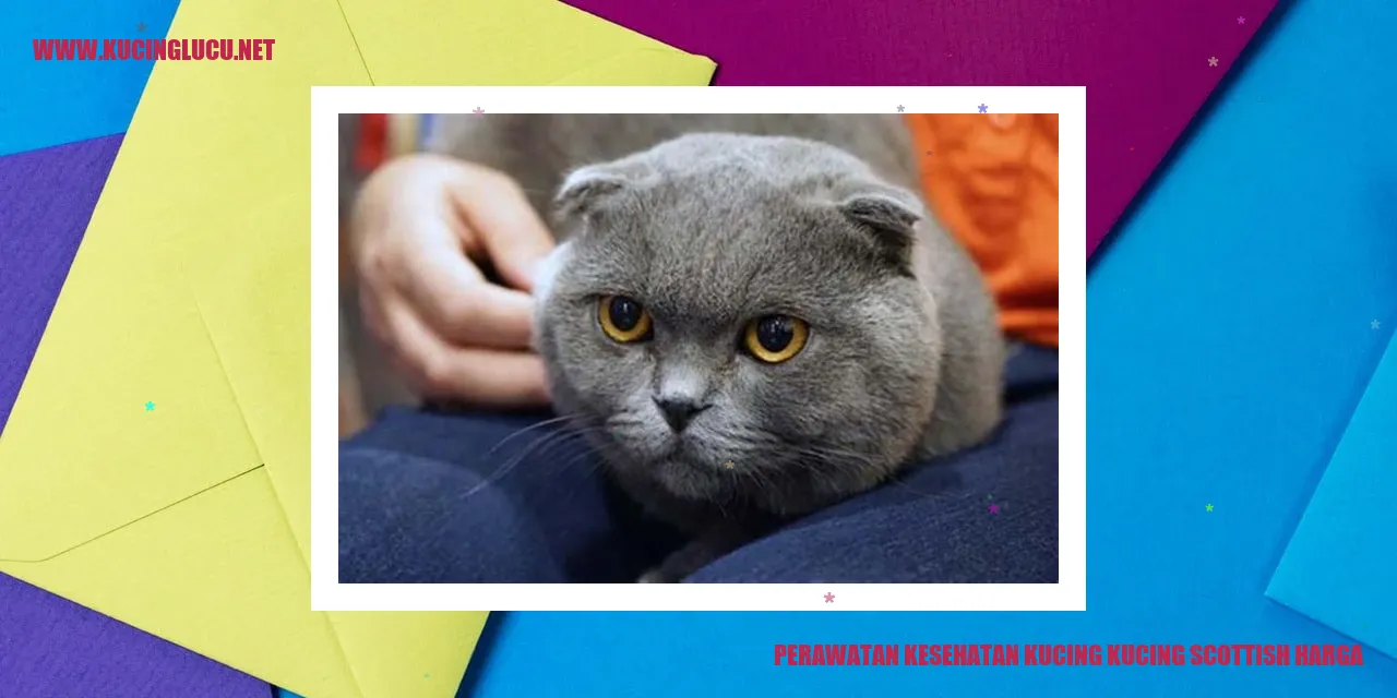 Perawatan Kesehatan Kucing Scottish Harga