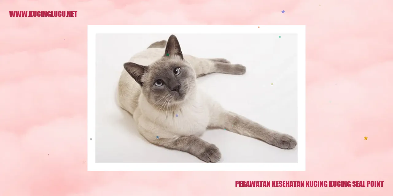 Kucing Seal Point