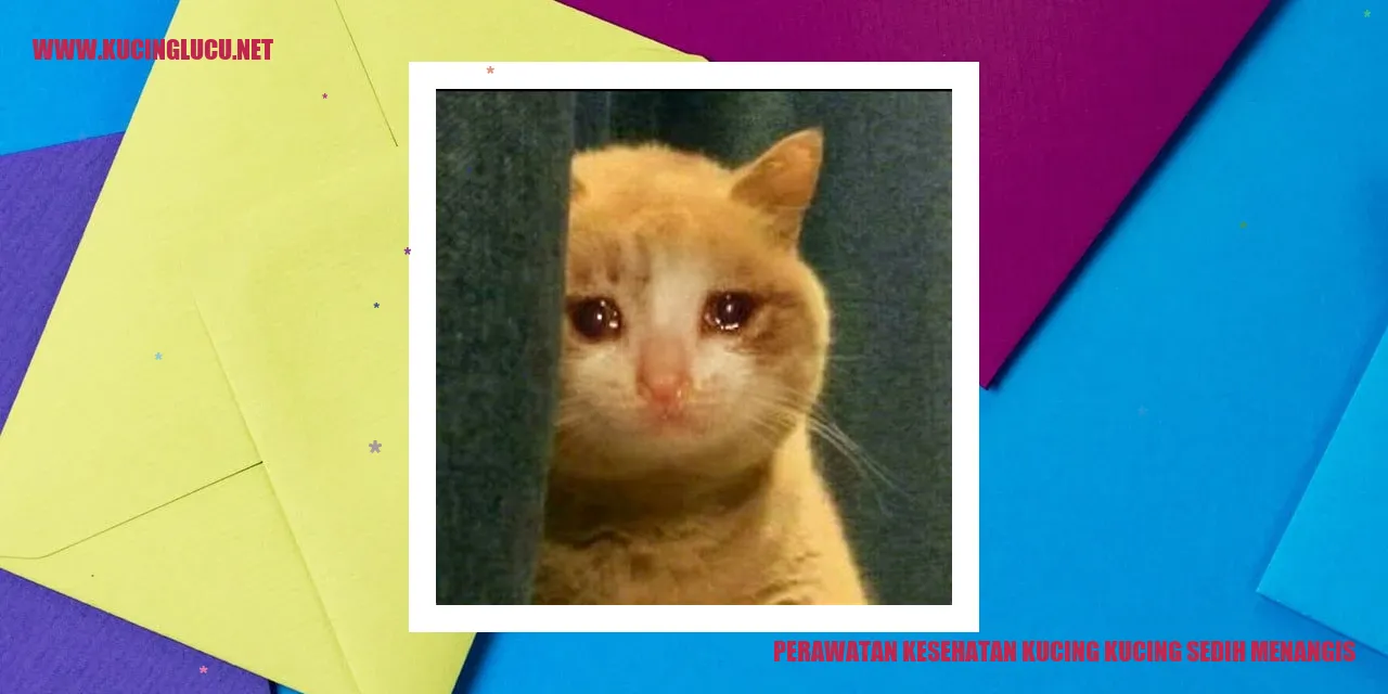 Gambar Kucing Sedang Sedih