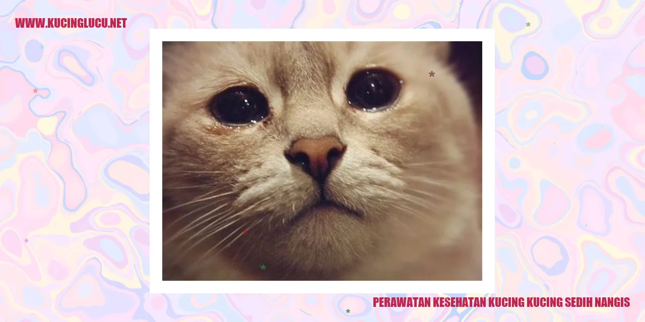 Kucing yang Bersedih dan Merintih