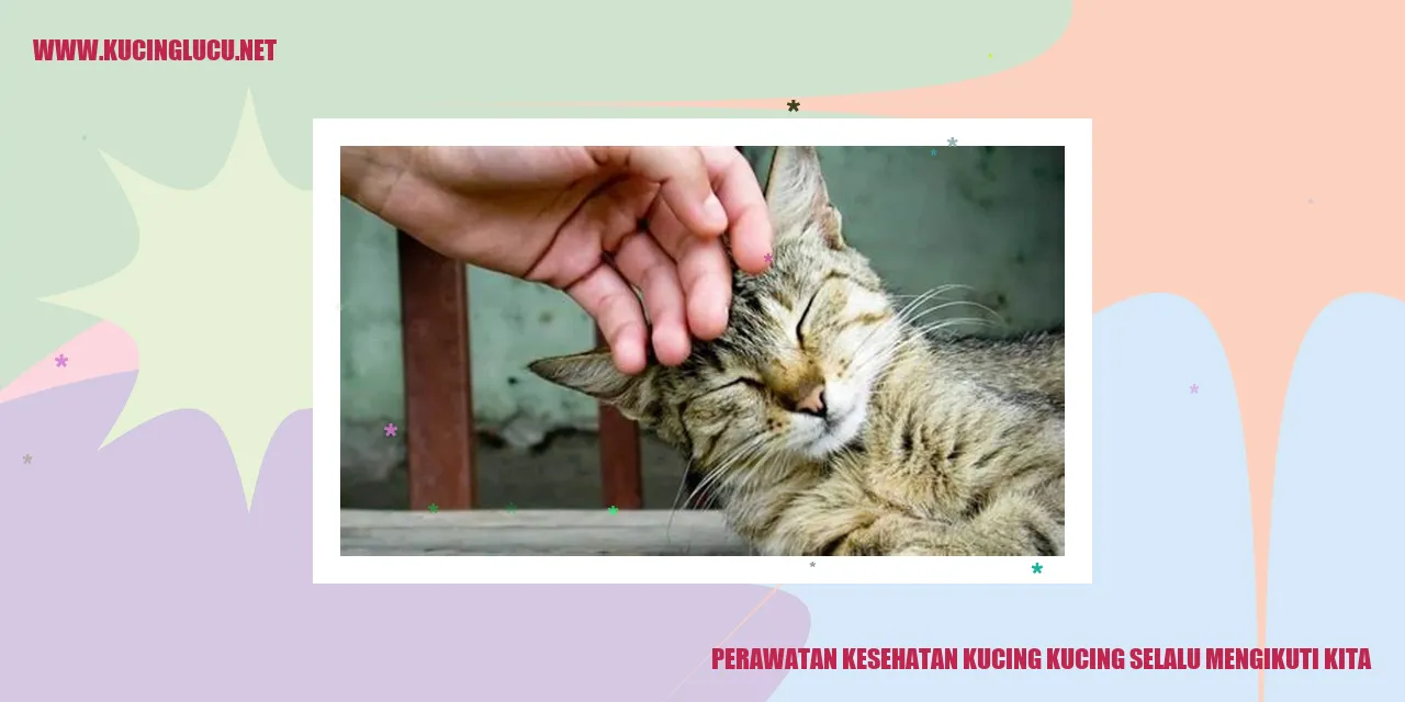Perawatan Kesehatan Kucing