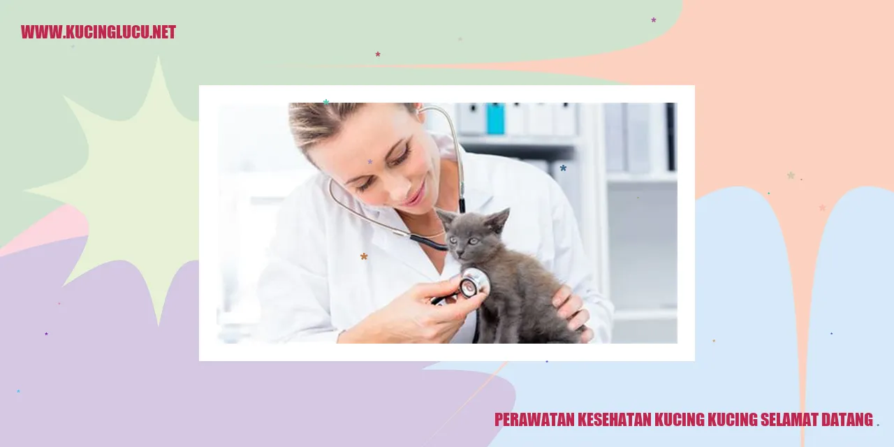 Perawatan Kesehatan Kucing