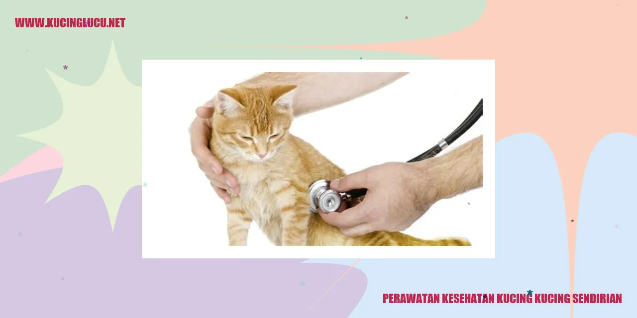 Perawatan kucing terlantar