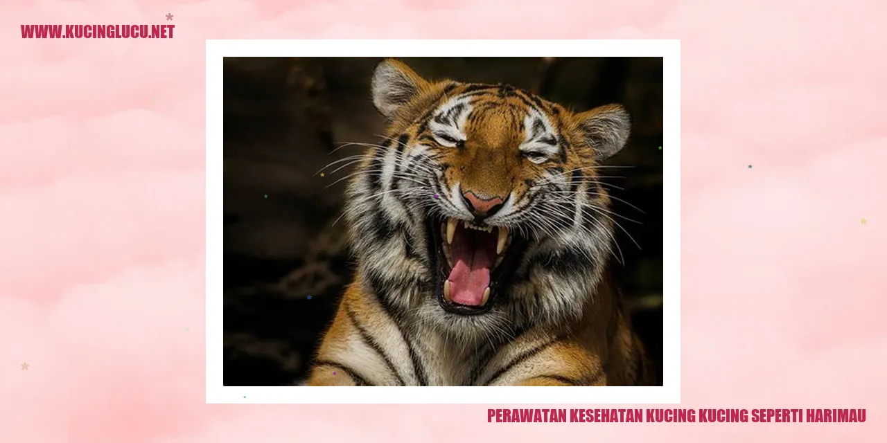 Perawatan Kesehatan Kucing seperti Harimau