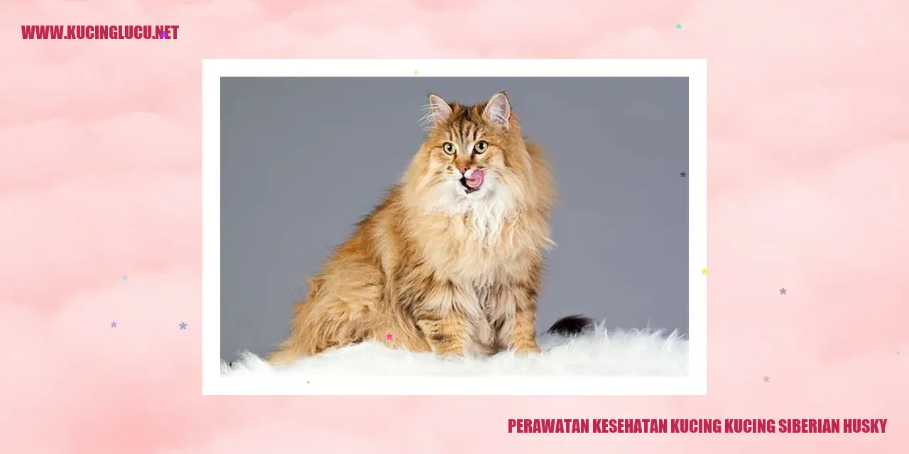 Perawatan Kesehatan Siberian Husky