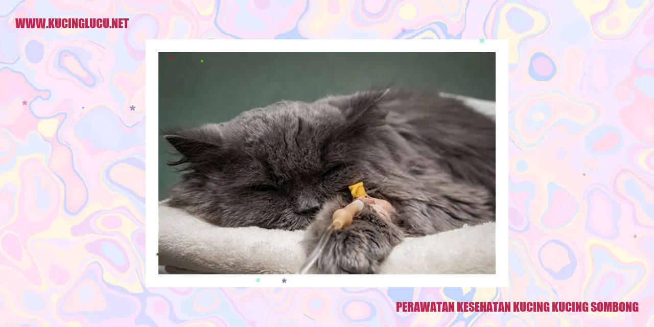 Perawatan Kesehatan Kucing yang Anggun