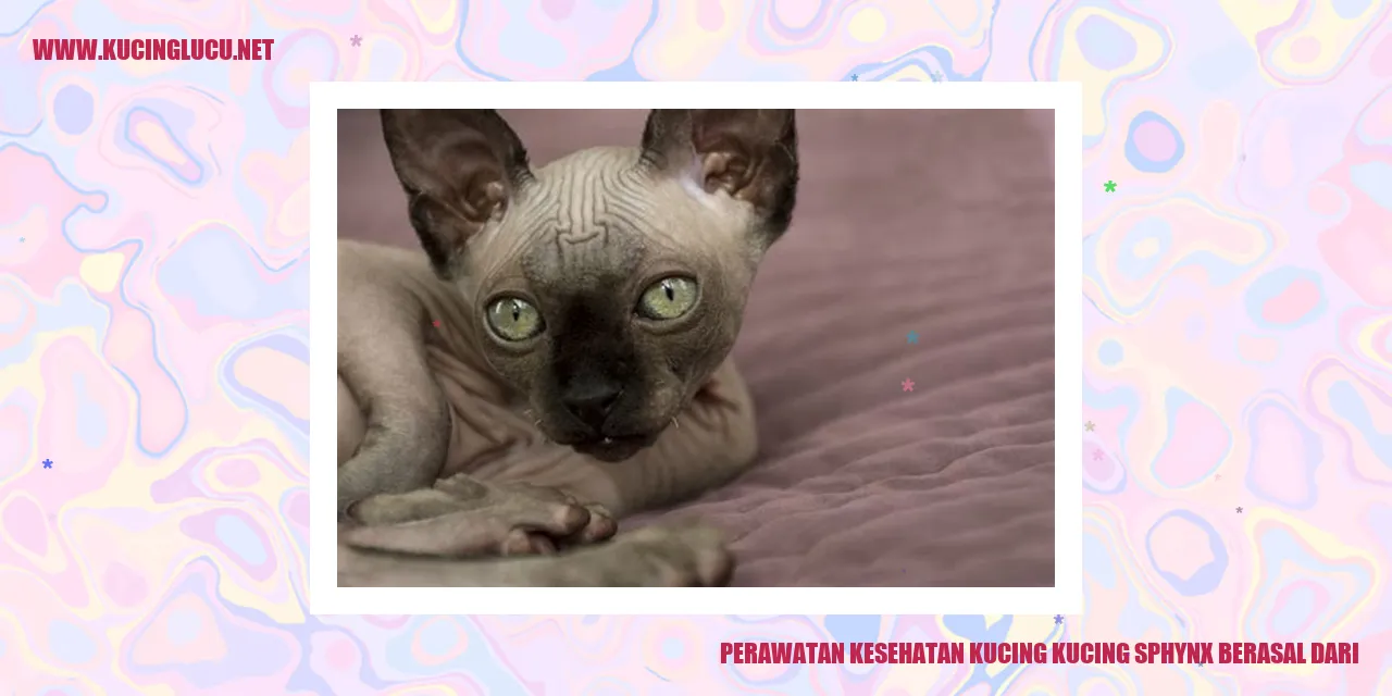 Perawatan Kesehatan Kucing Sphynx