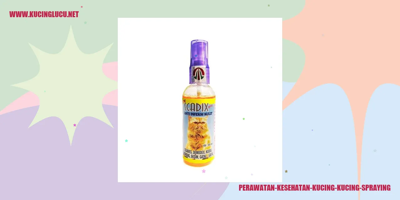 Perawatan Kesehatan Kucing-kucing Spraying