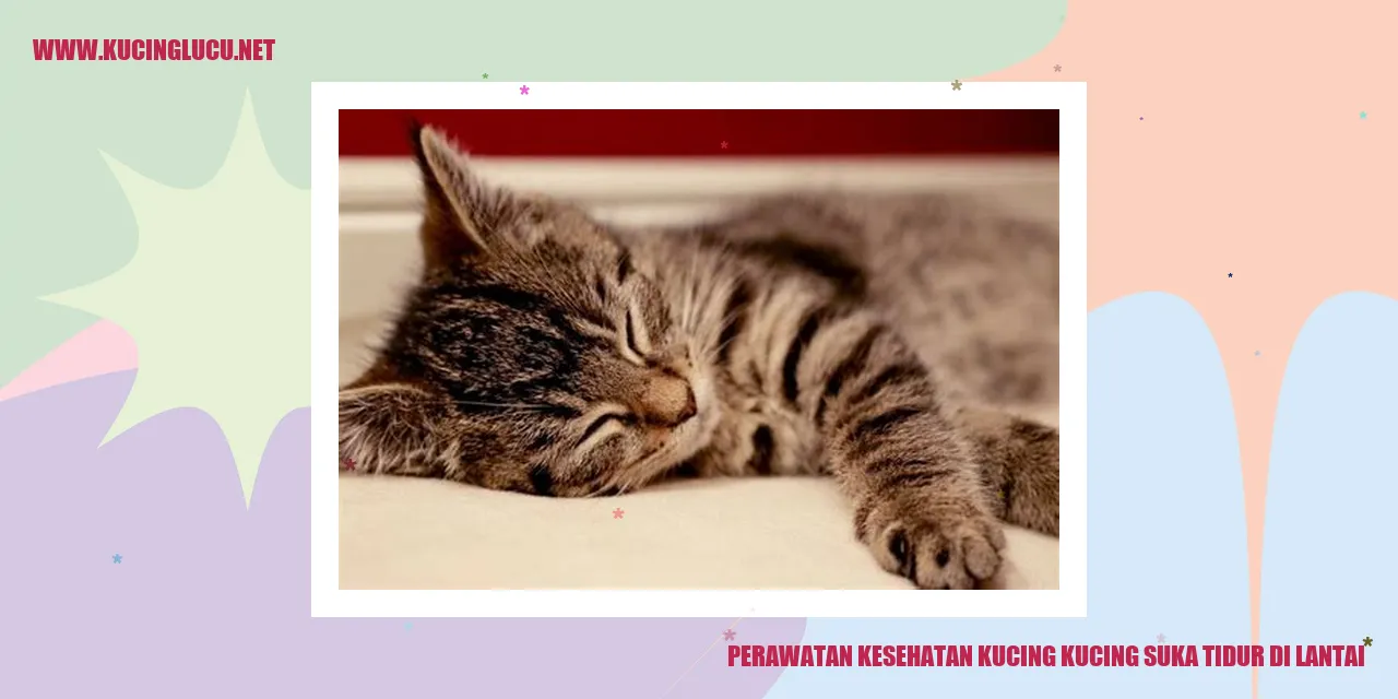 Perawatan Kesehatan Kucing