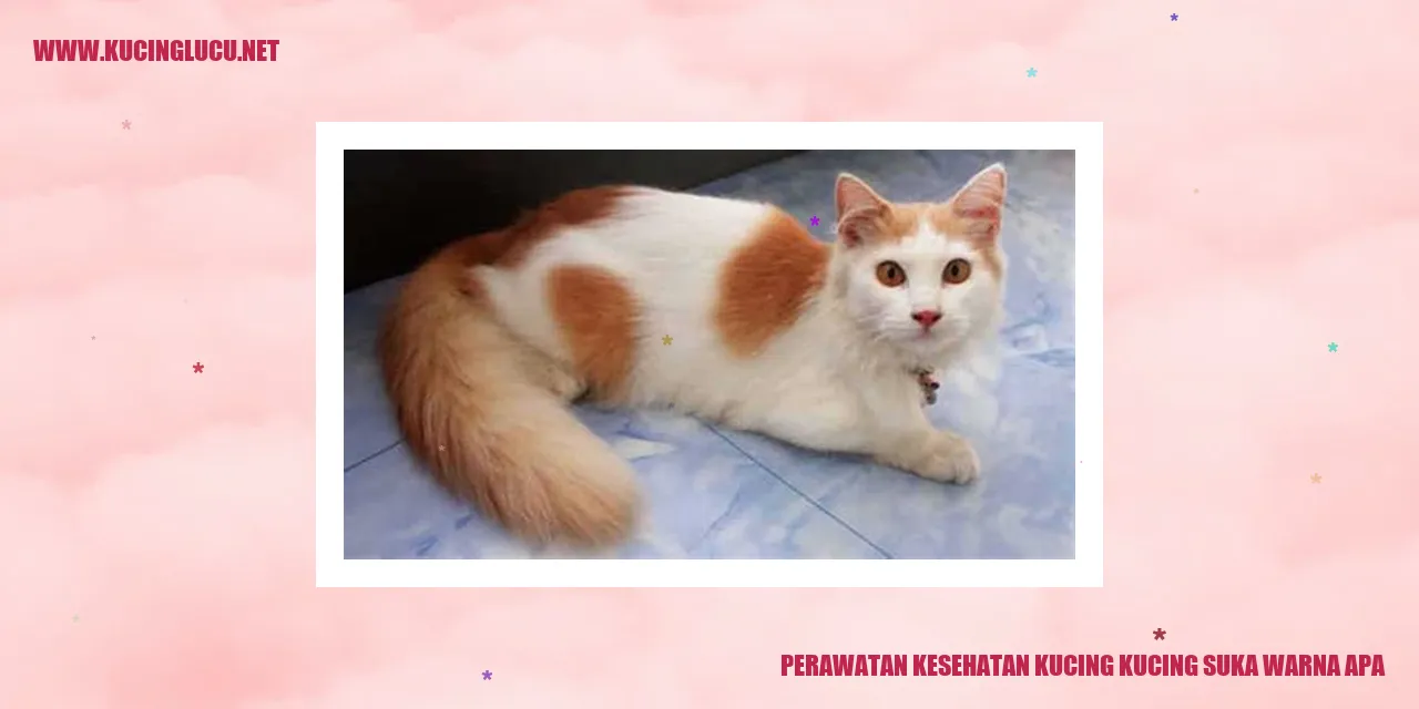 kucing lucu