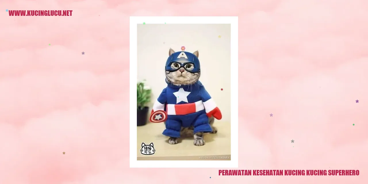 Kucing Superhero