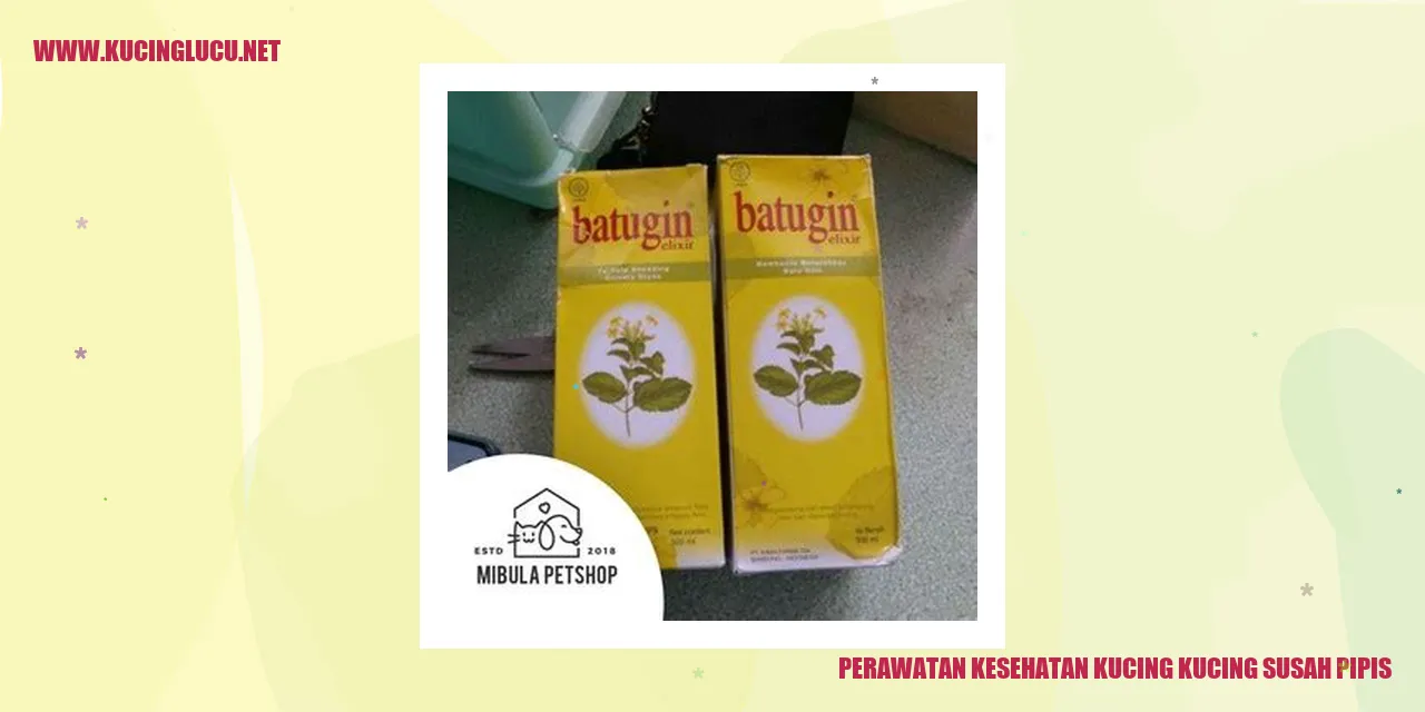 Perawatan Kesehatan Kucing