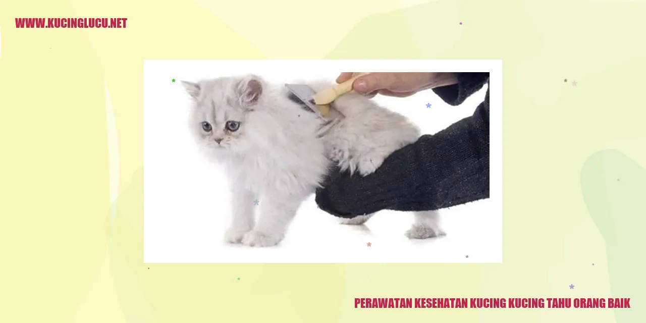 Perawatan Kesehatan Kucing kucing tahu orang baik