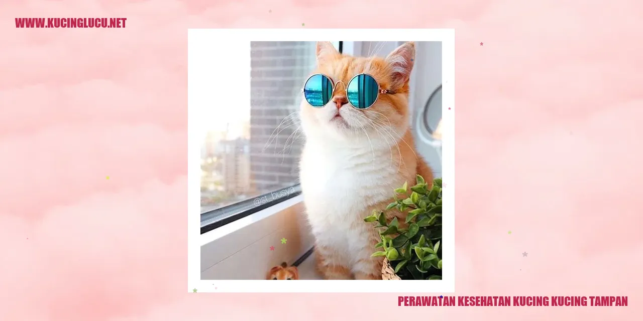 kucing tampan