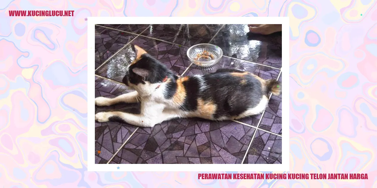 perawatan kesehatan kucing