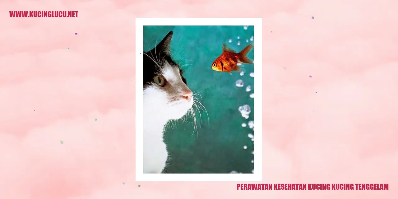 Perawatan kucing yang tenggelam