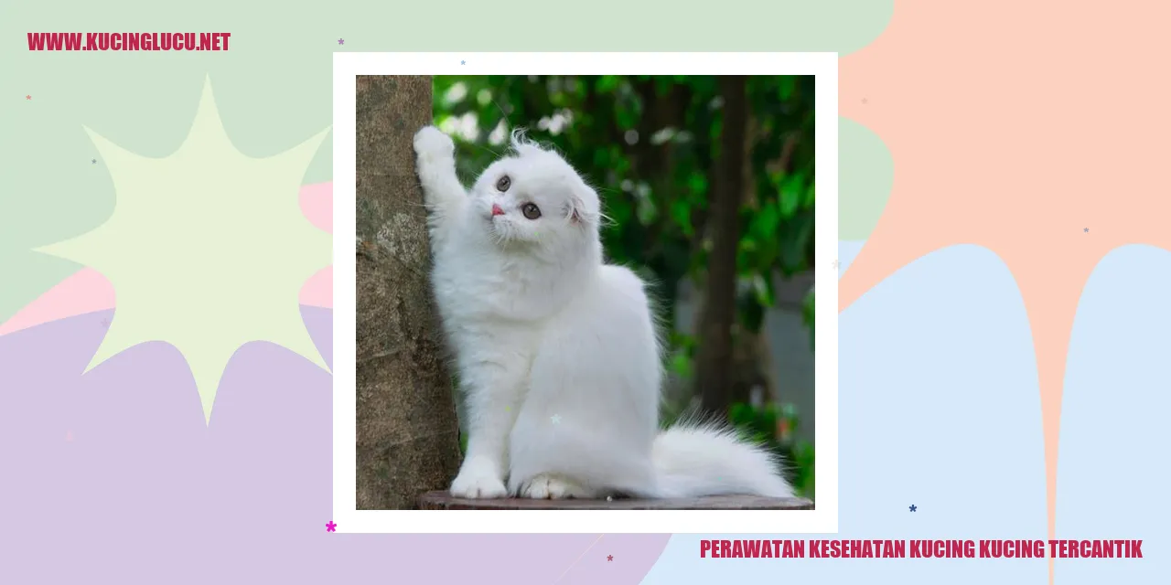 Kucing yang Memesona