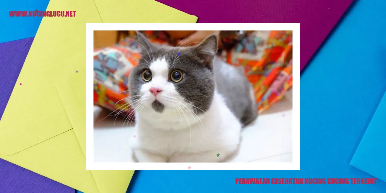Kucing terkejut