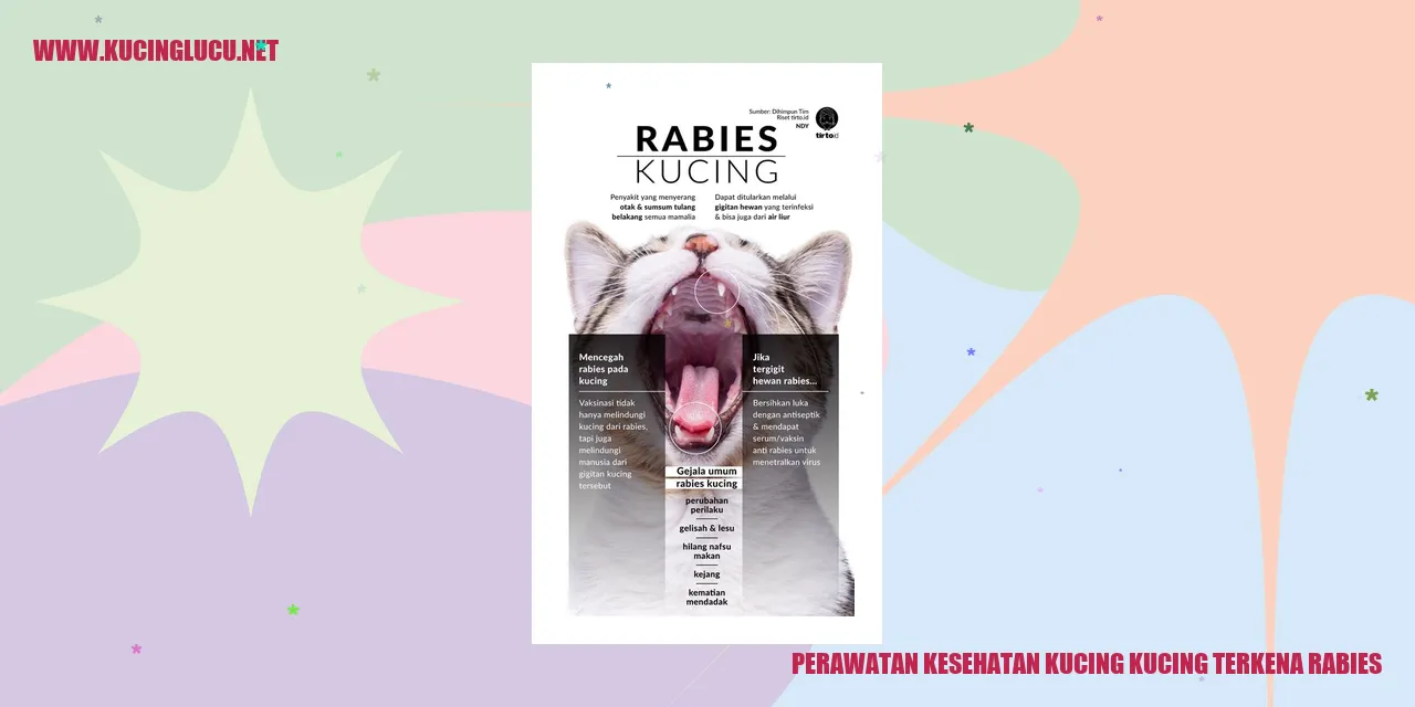 Kucing terkena rabies