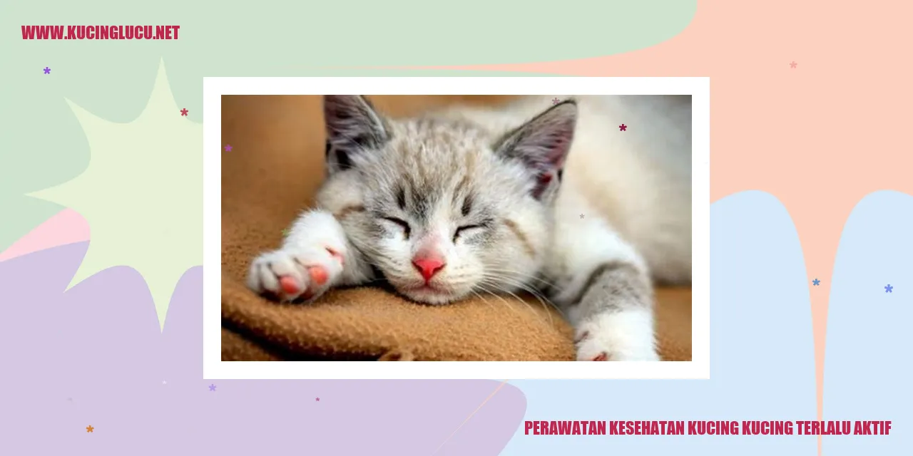 Perawatan Kesehatan Kucing yang Terlalu Aktif