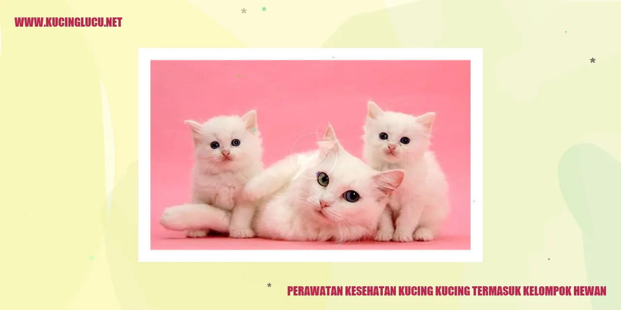 Perawatan Kesehatan Kucing