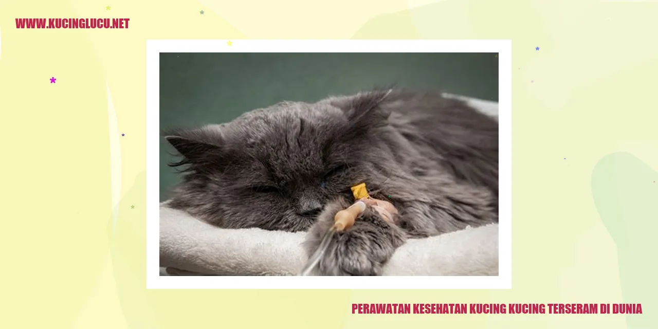 Perawatan Kesehatan Kucing Terseram di Dunia