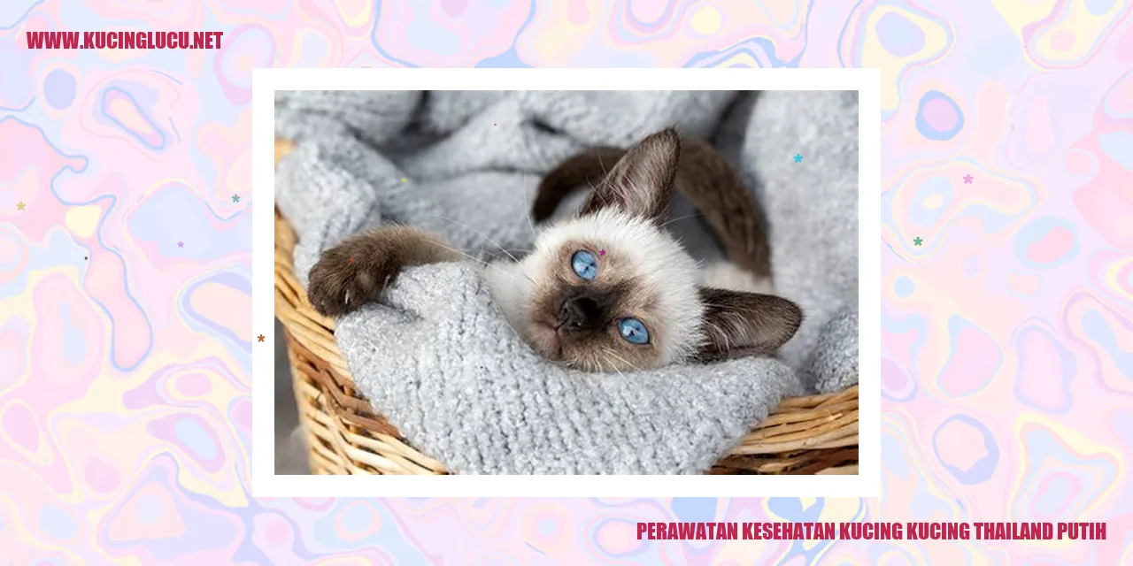 Perawatan Kesehatan Kucing Thailand Putih