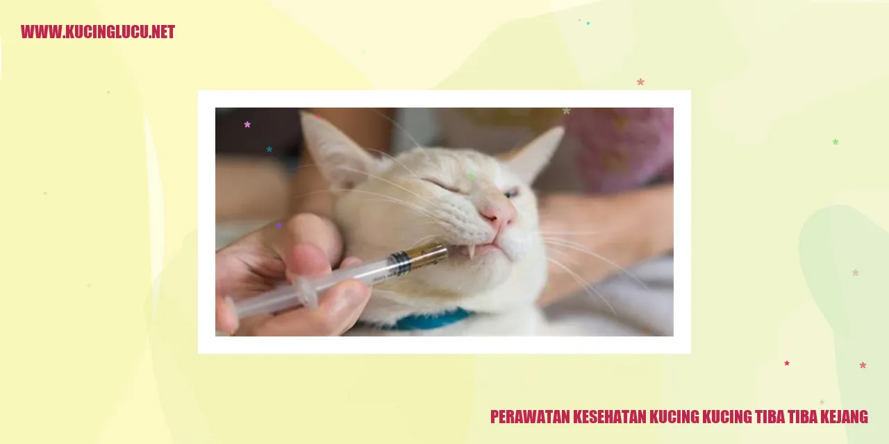 Gambar Kucing