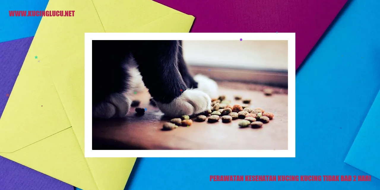 Perawatan Kesehatan Kucing