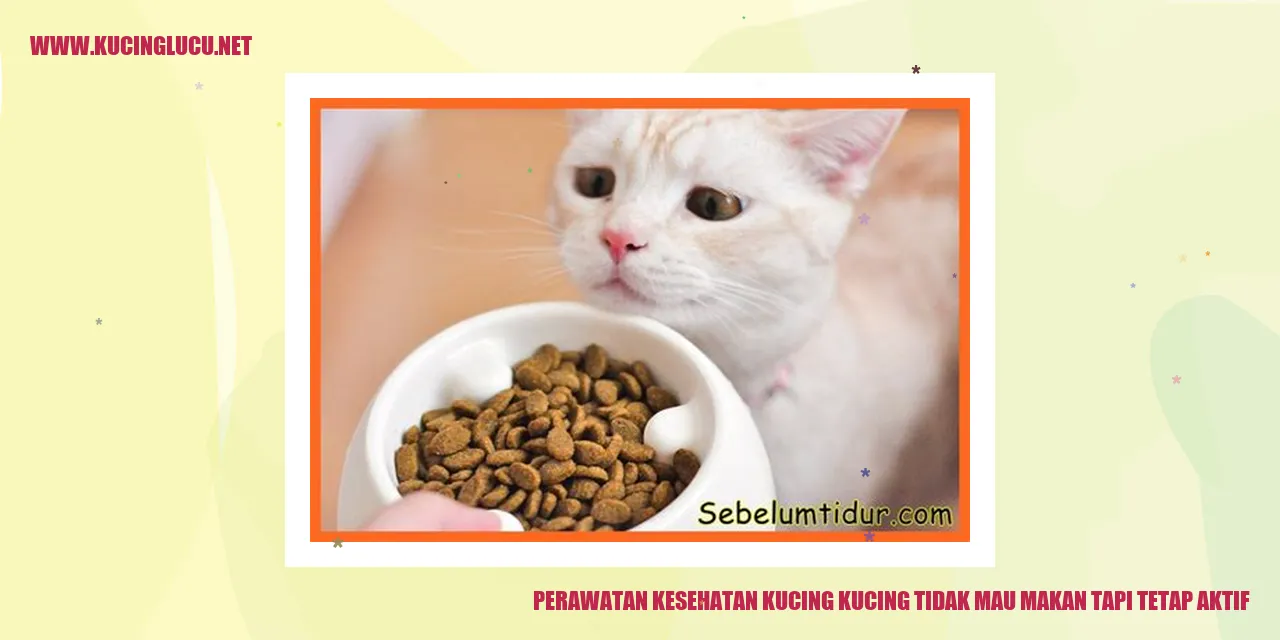 Perawatan Kesehatan Kucing