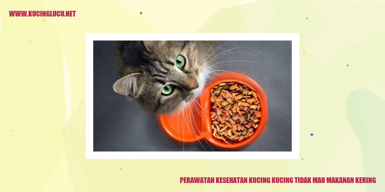 Perawatan Kesehatan Kucing