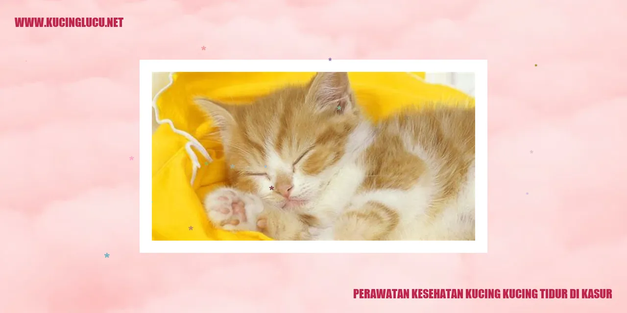Kucing yang Berkasur