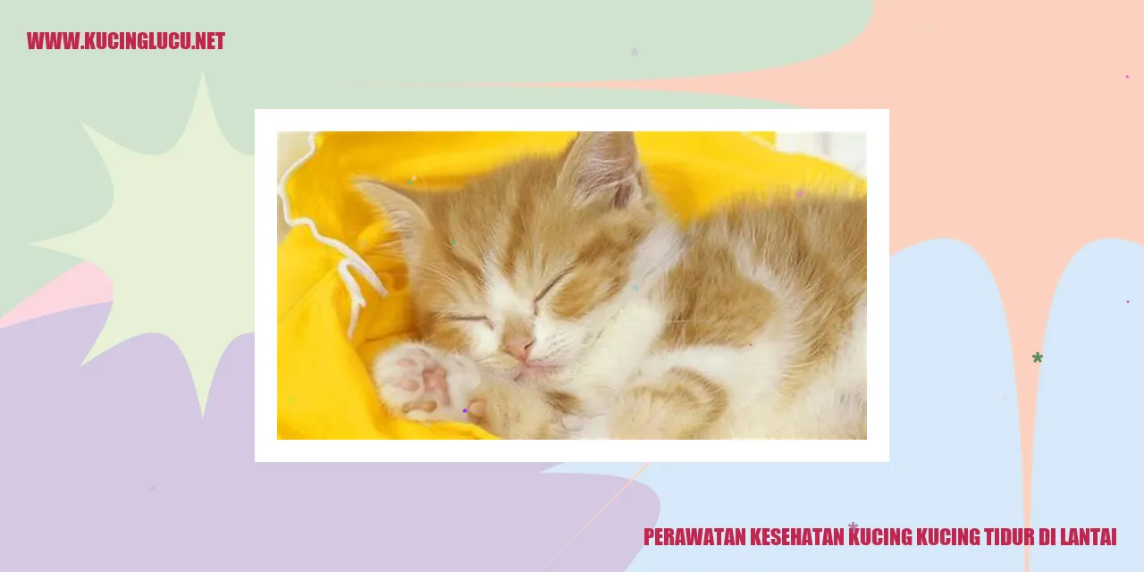 Gambar Kucing Tidur di Lantai