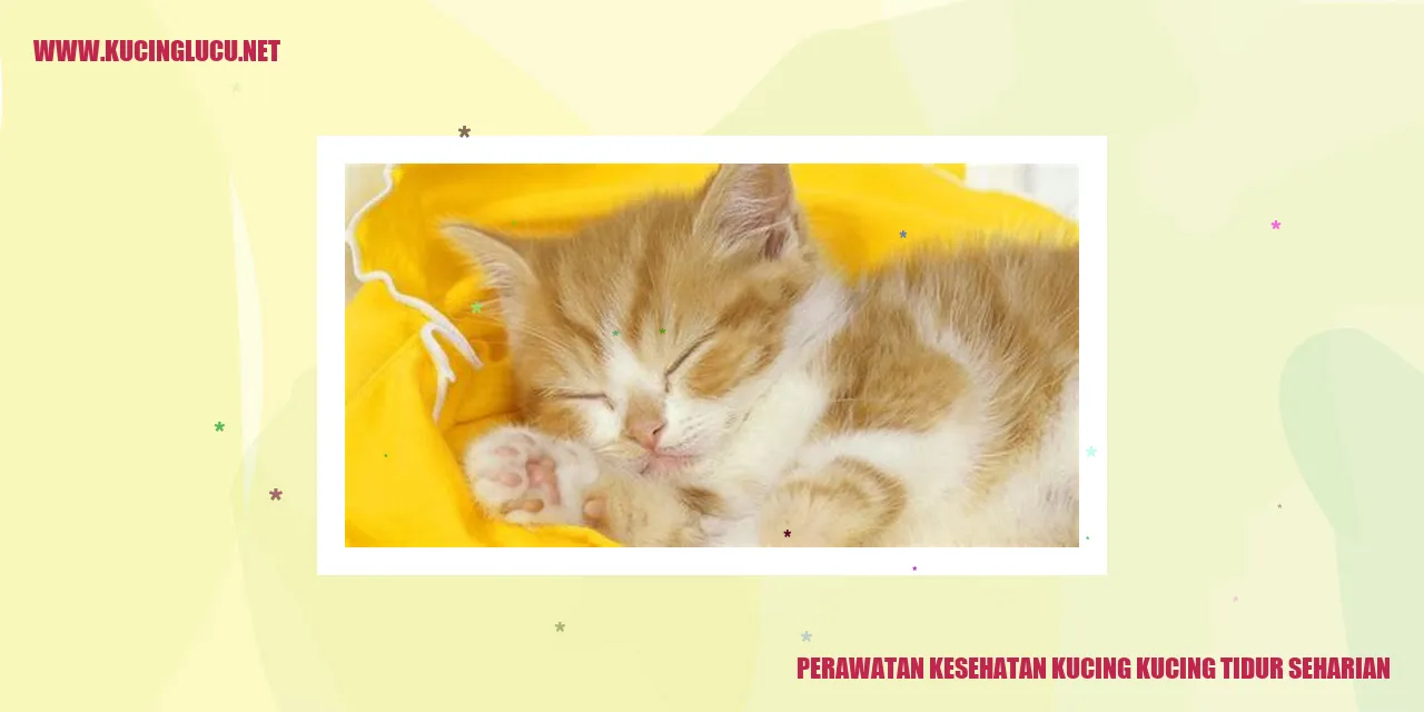 Perawatan Kesehatan Kucing