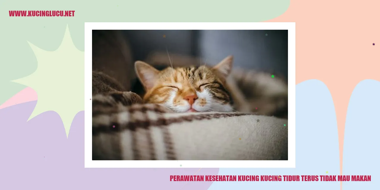 Kucing Stress
