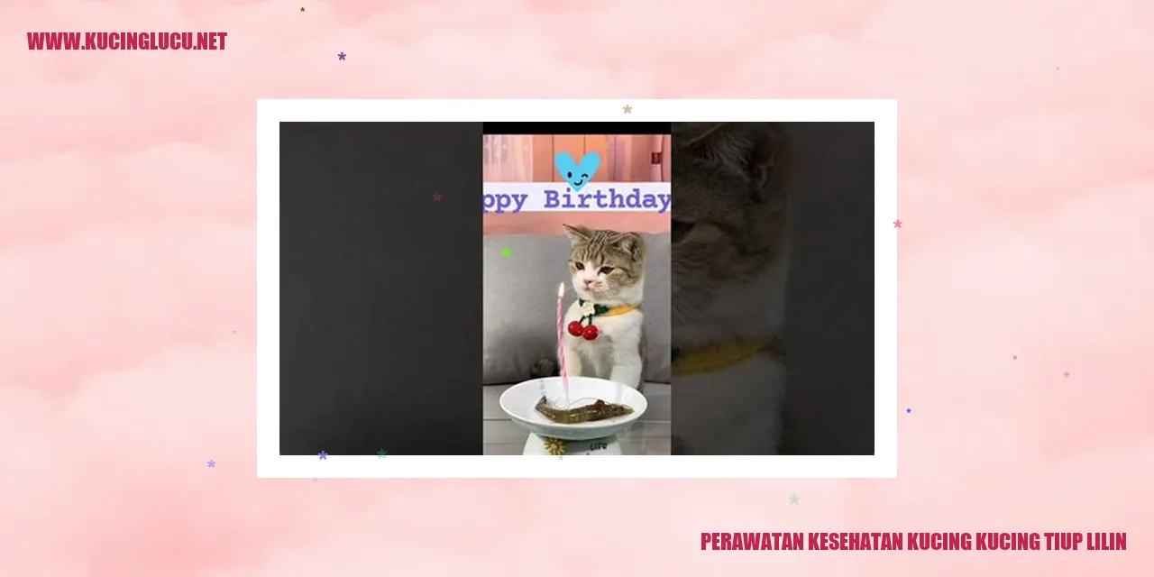 Perawatan kesehatan kucing