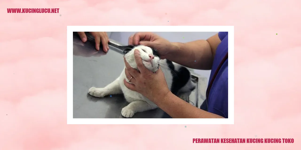 Gambar Perawatan Kesehatan Kucing di Toko