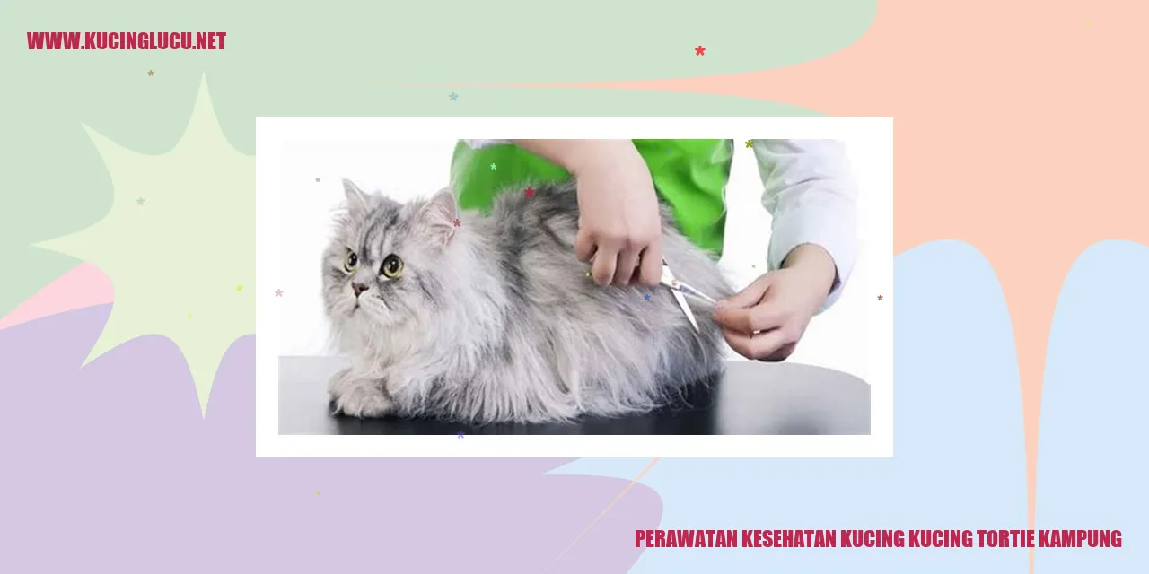 Gambar kucing tortie kampung