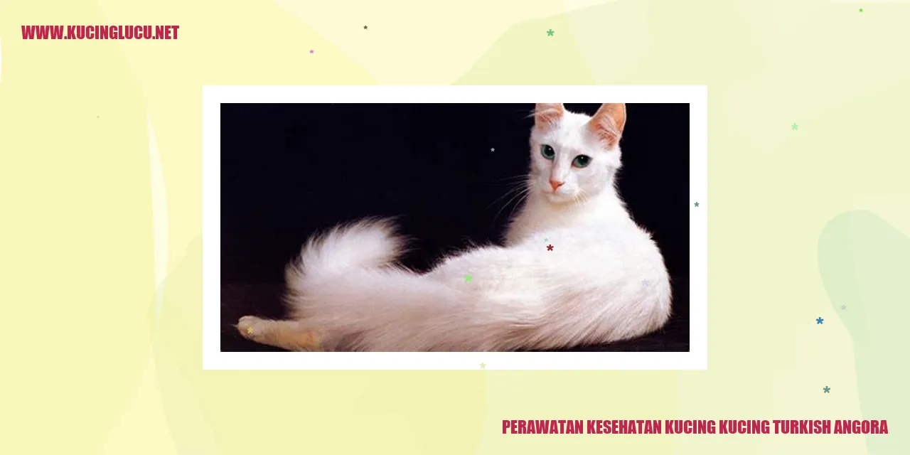 Perawatan Kesehatan Kucing Turkish Angora