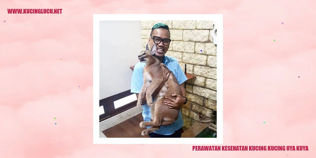 Gambar Kucing