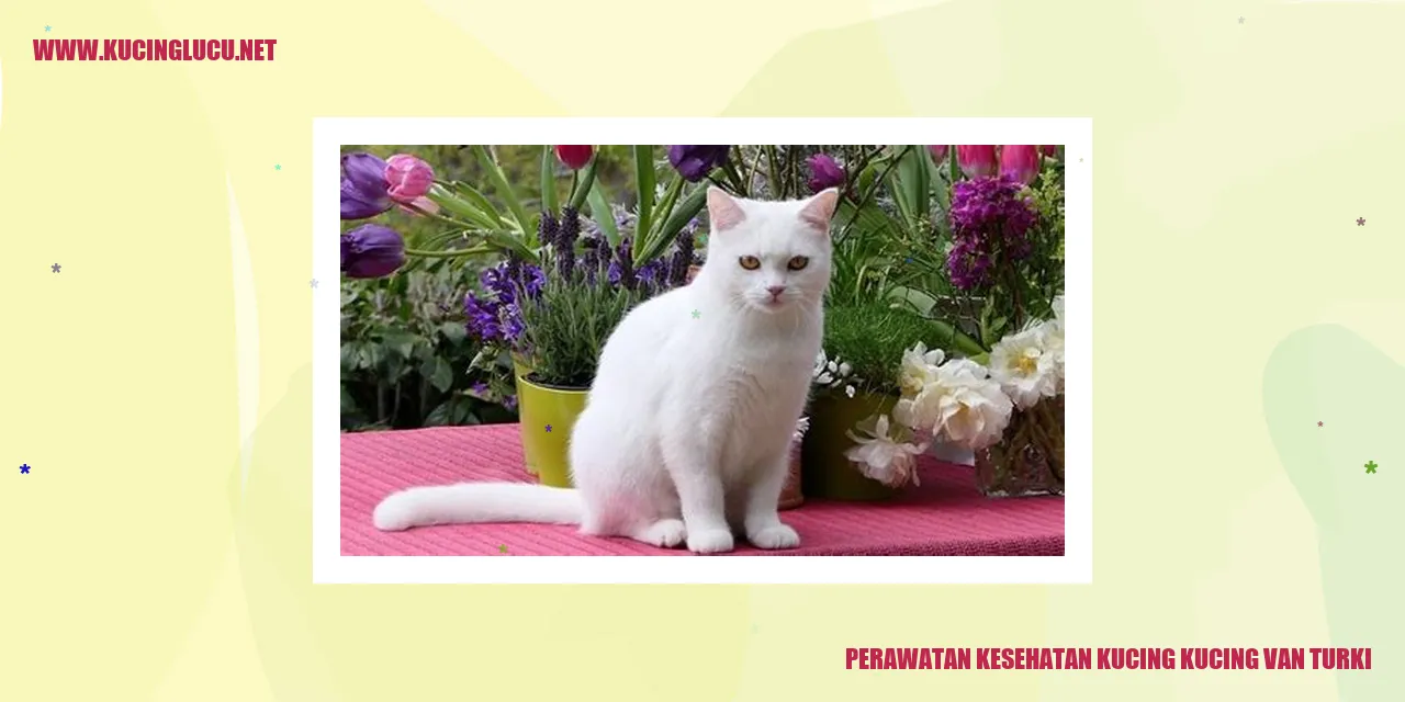 Perawatan Kesehatan Kucing