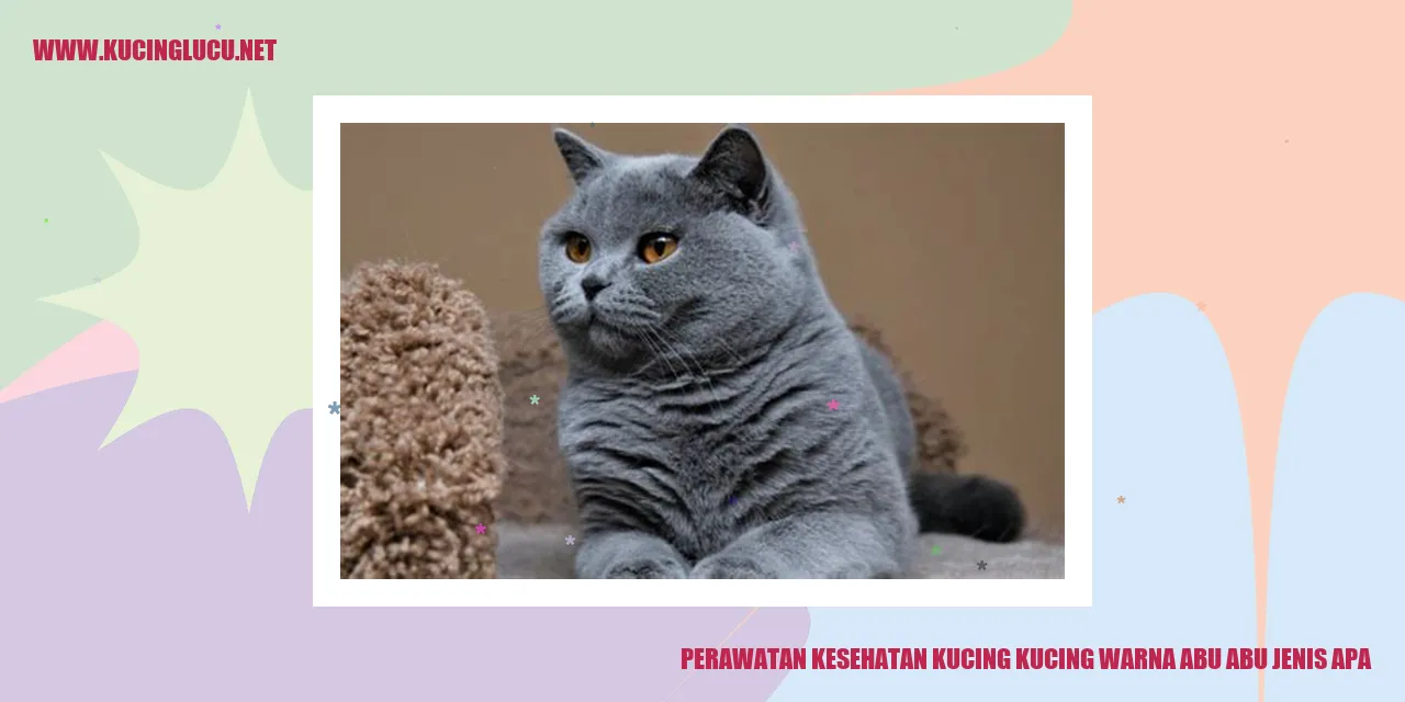 Perawatan Kesehatan Kucing Warna Abu-Abu
